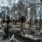 Nordfriedhof g