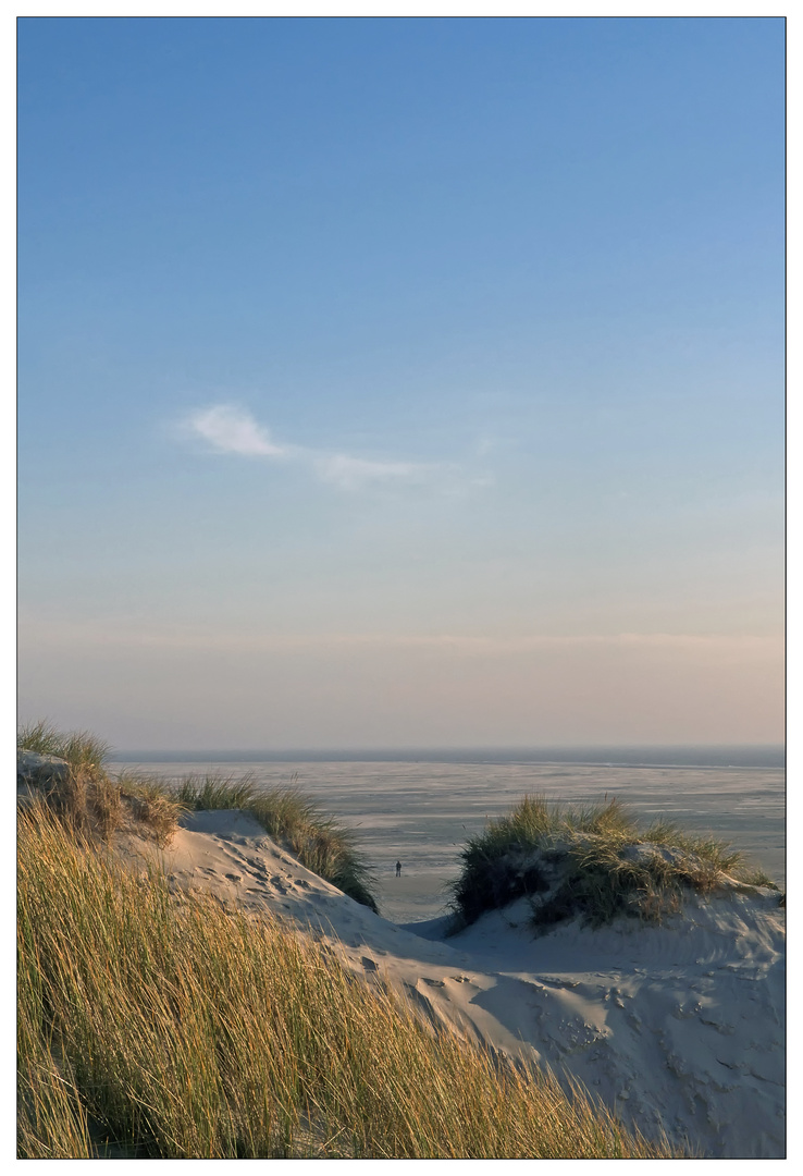 Nordfriesische - Impressionen " Amrum - Blick von den Dünen..."