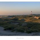 Nordfriesische - Impressionen " Amrum - Blick zu den Dünen....