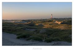 Nordfriesische - Impressionen " Amrum - Blick zu den Dünen....