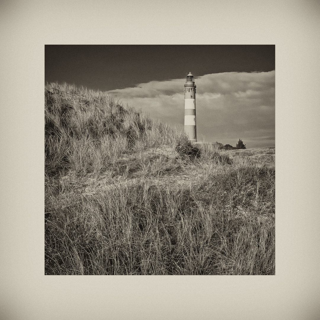 Nordfriesische - Impressionen " Amrum - entlang der Dünen..."