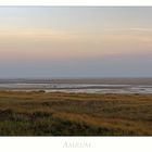 Nordfriesische - Impressionen " Amrum - unendliche Weite..."