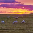 Nordfriesische Küste am Abend