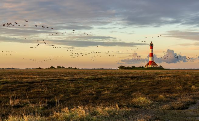 ~~Nordfriesische Schönheit~~
