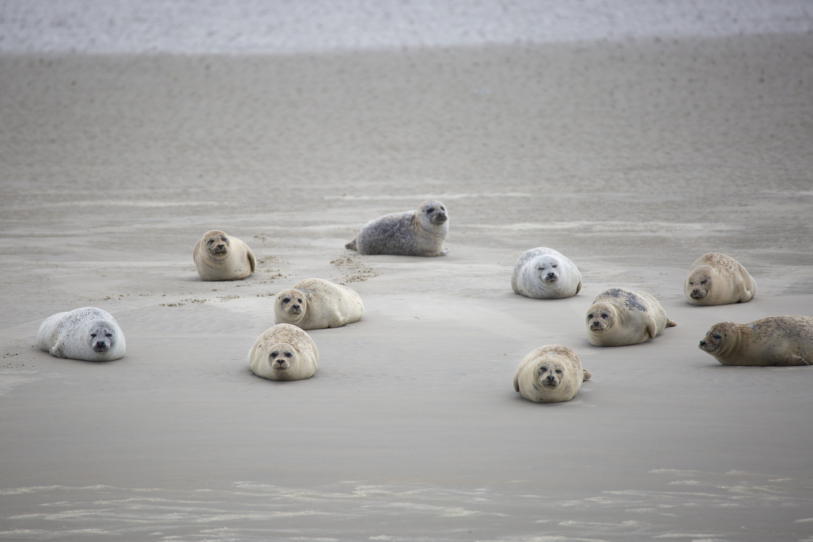 Nordfriesische Siesta