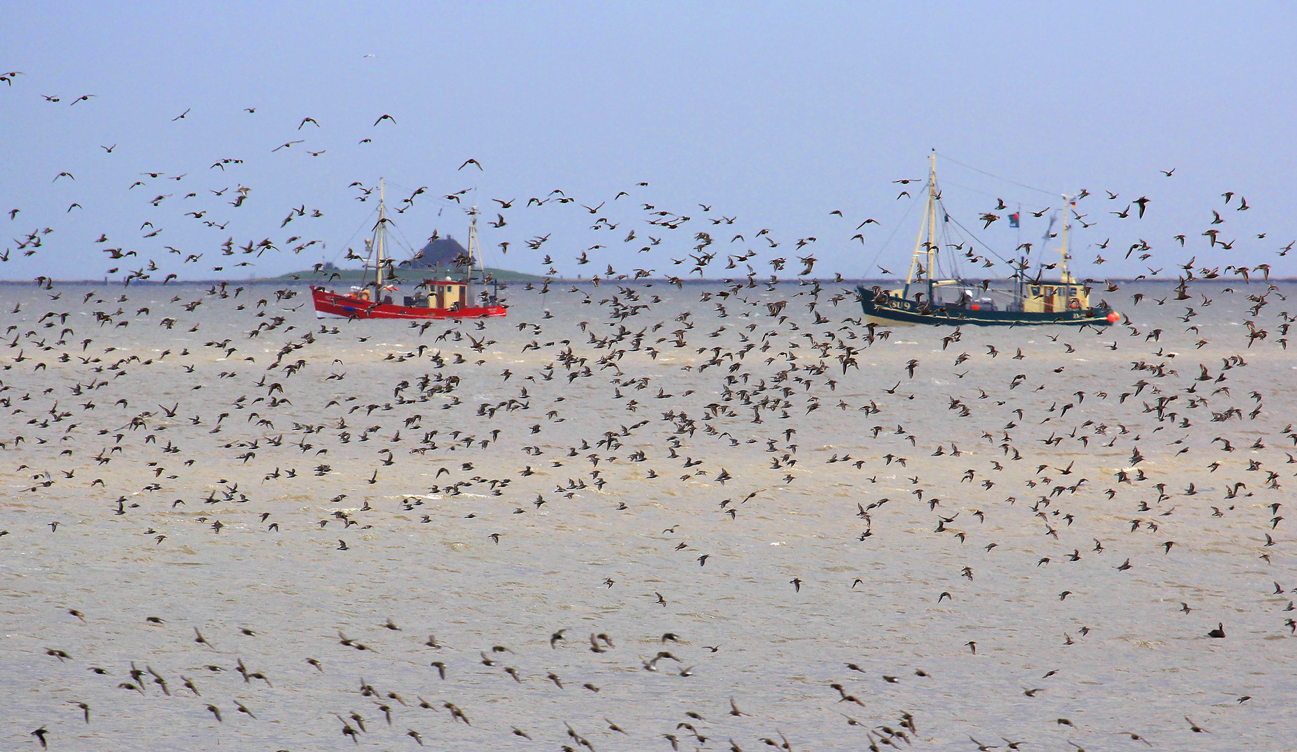 Nordfriesisches Wattenmeer