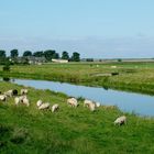 Nordfriesland 