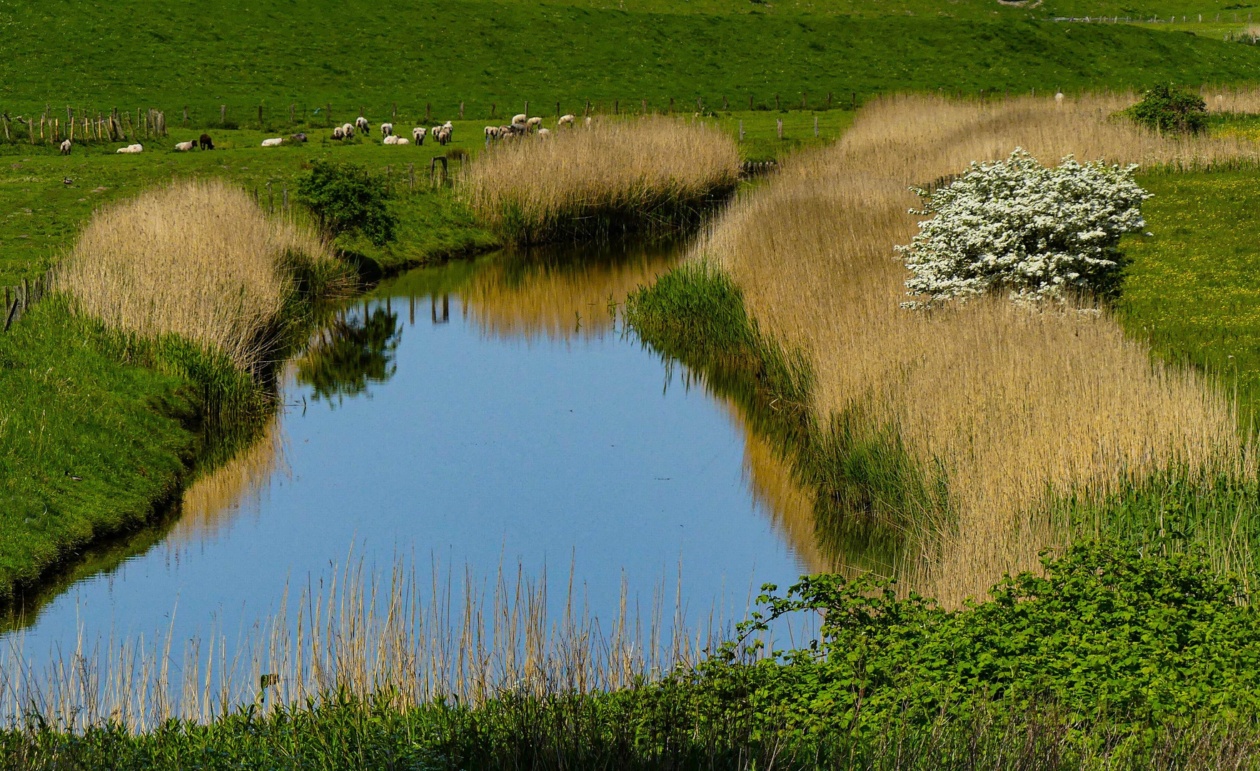 Nordfriesland