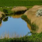 Nordfriesland