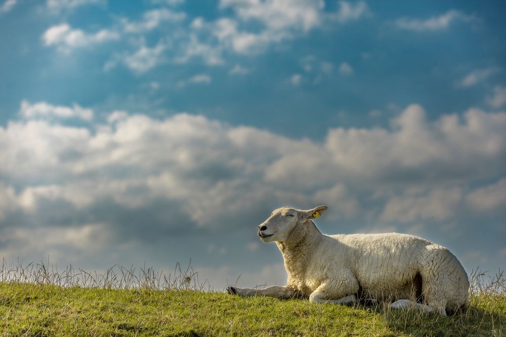 Nordfriesland ...