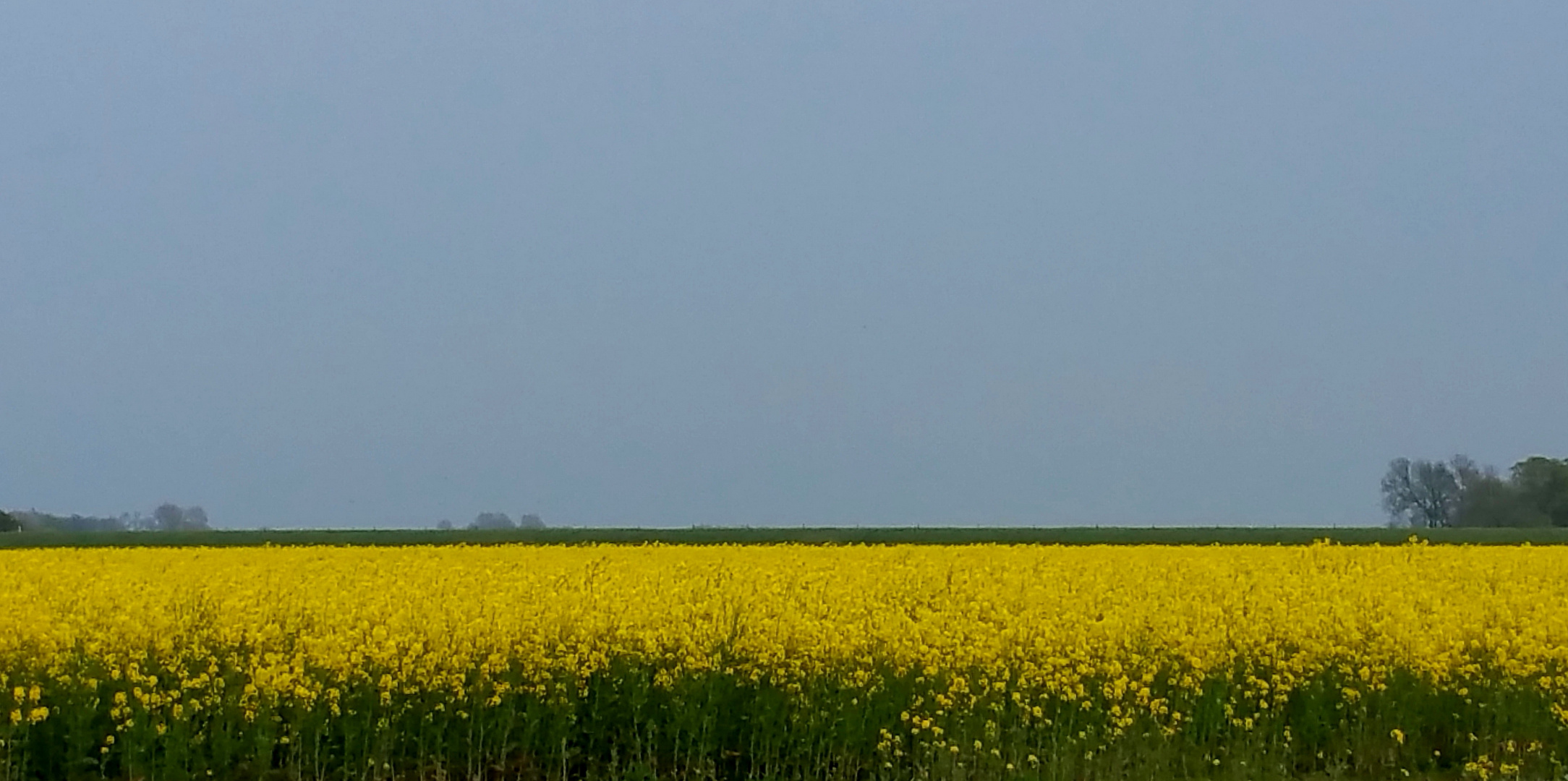 Nordfriesland im Frühling...