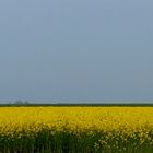 Nordfriesland im Frühling...