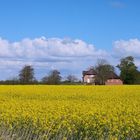 Nordfriesland im Frühling...