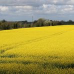 Nordfriesland im Frühling