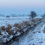 ~ Nordfriesland im Winter ~