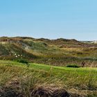 Nordfriesland.  St. Peter-Ording. Hinter den Dünen.