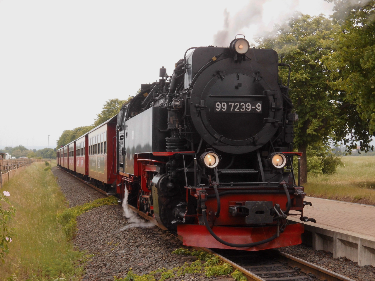 Nordhäuser Brockendampfzug in Krimderode.