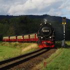 Nordhäuser Brockenzug im Abendlicht.