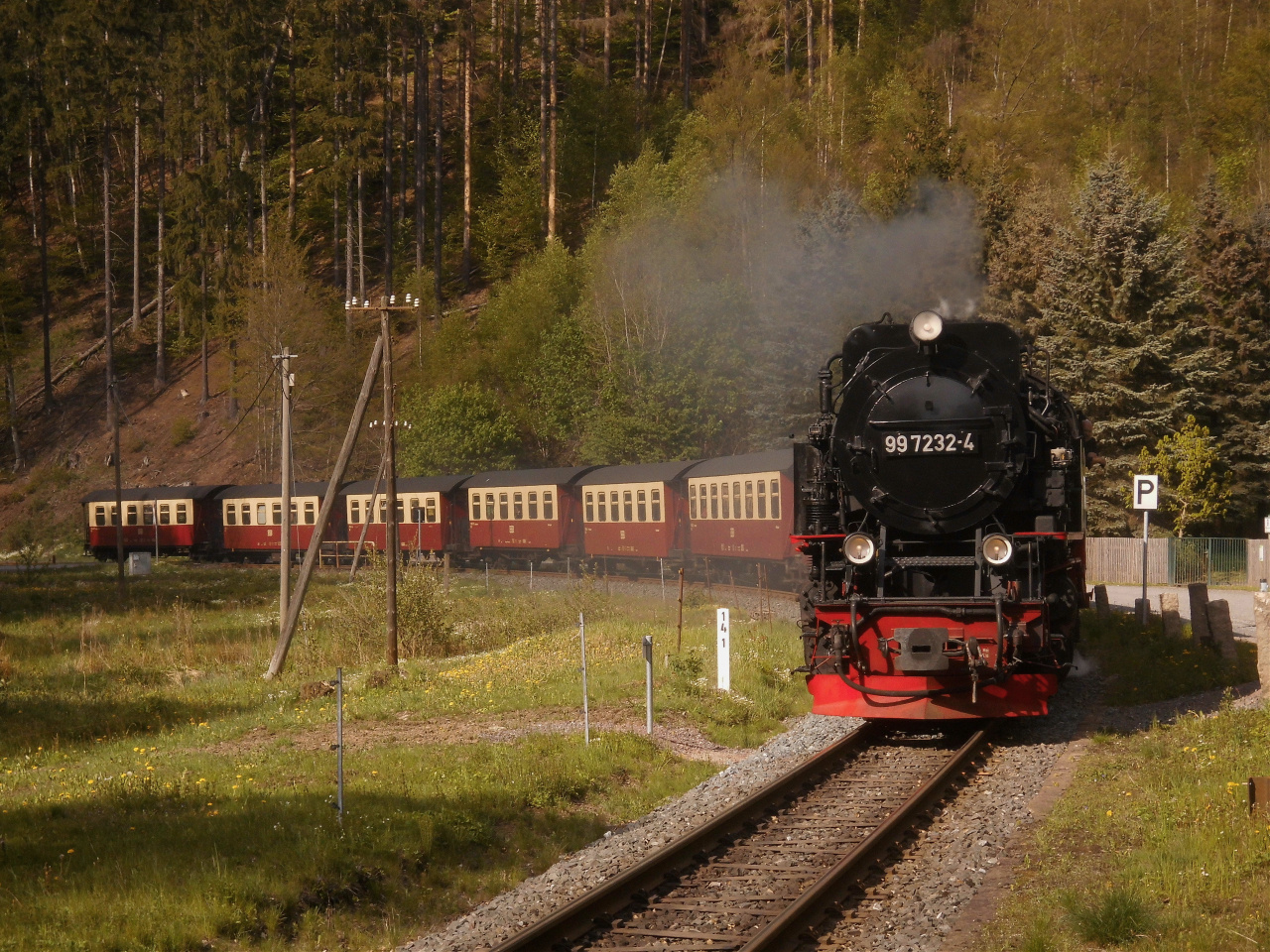 Nordhäuser Brockenzug in Netzkater.