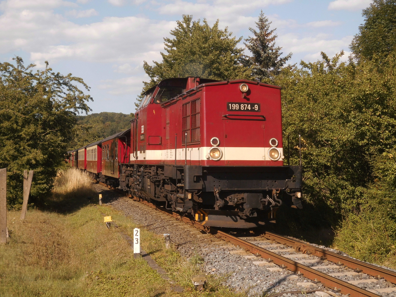 Nordhäuser Harzkamel im Grünen.