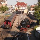 Nordhäuser HSB Bahnhof im Abendlicht 3.