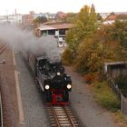 Nordhäuser HSB Herbst Traditionszug.