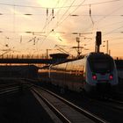 Nordhäuser Sonnenuntergang mit Abellio Hamster.