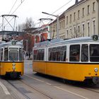 Nordhausen: 81 (SL 2) / 80 (SL 2)