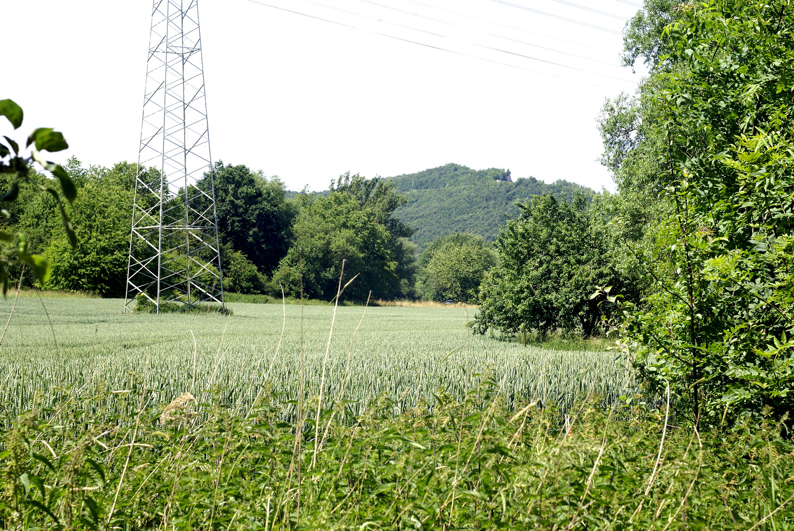 Nordhausen-Salza, Blick zum Kohnstein