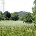 Nordhausen-Salza, Blick zum Kohnstein