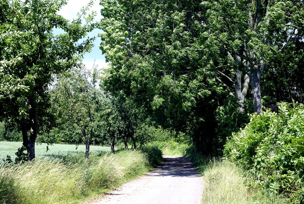 Nordhausen-Salza, zwischen Salzaquell und Salza