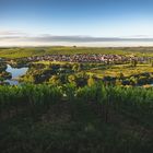 Nordheim am Main an einem schönen Sommermorgen