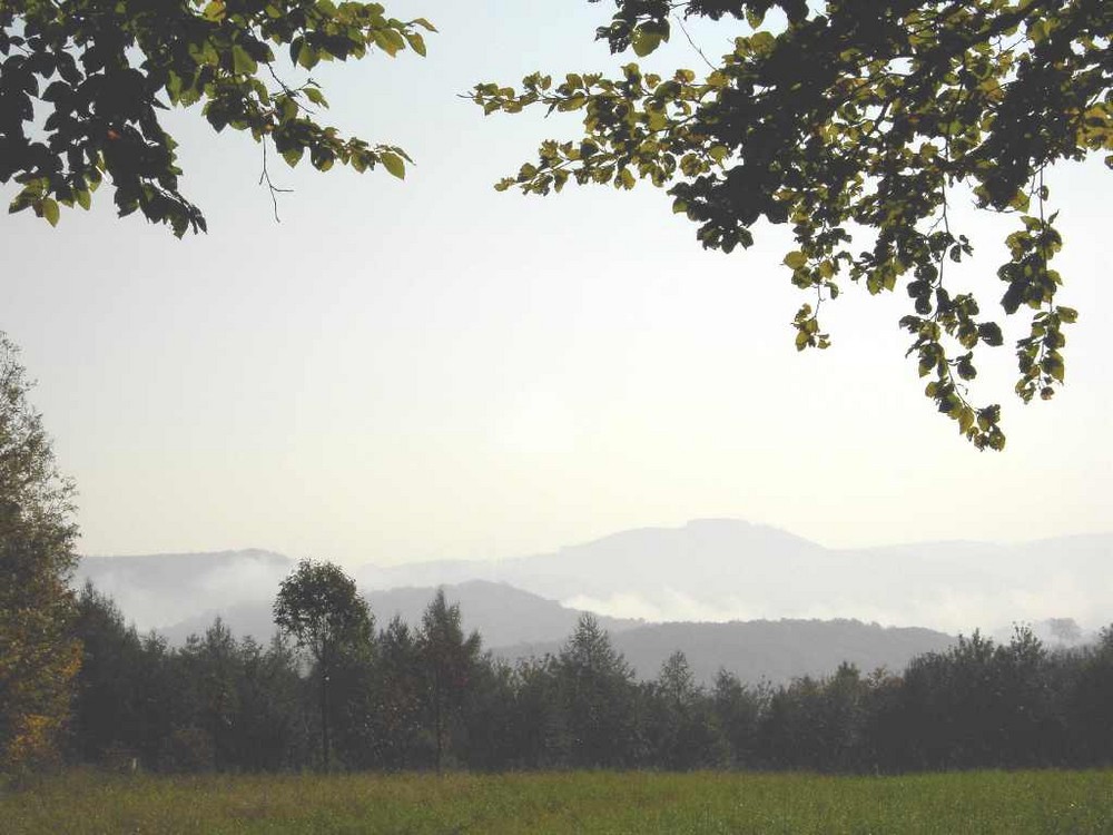 Nordhessen im Nebel