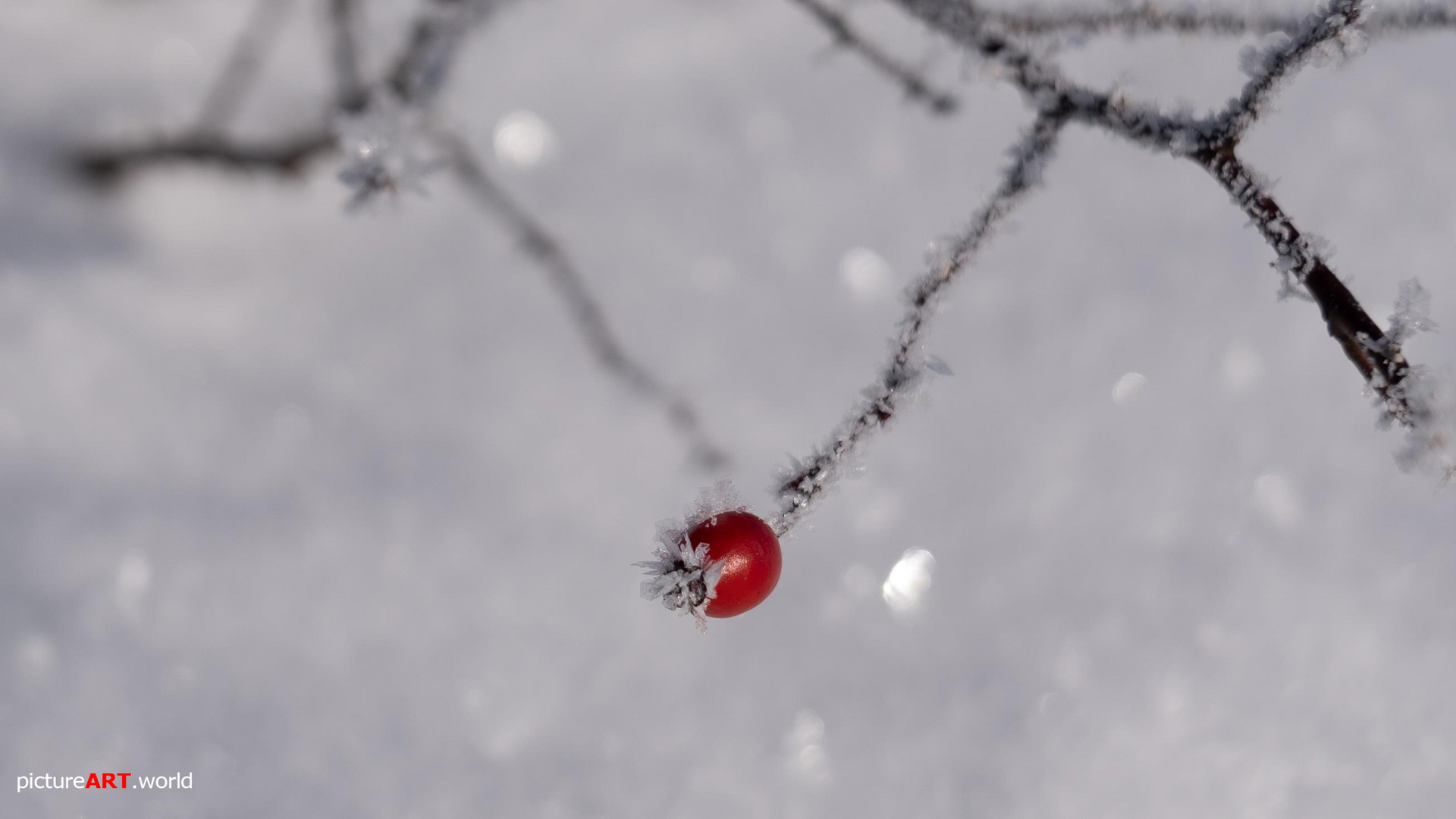 Nordhessen - Winter Wonderland