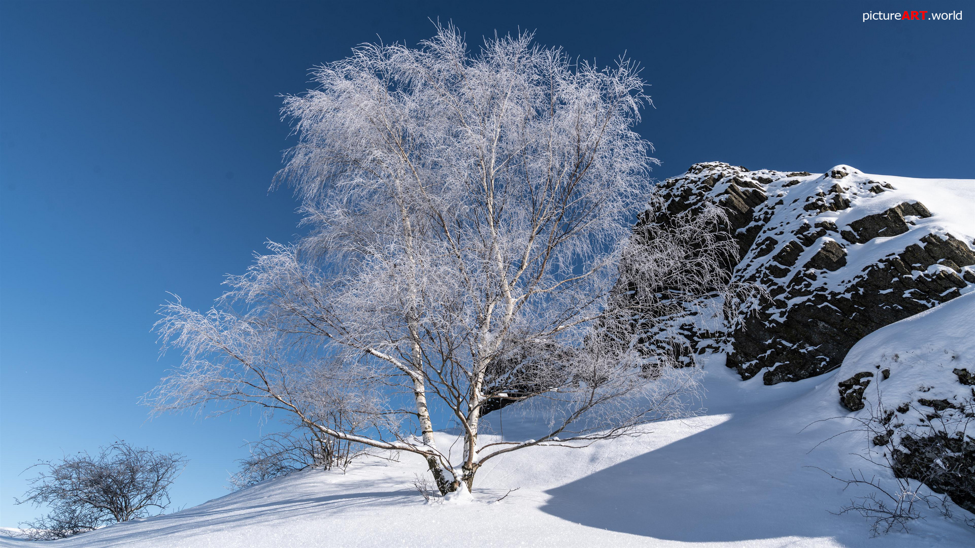 Nordhessen - Winter Wonderland