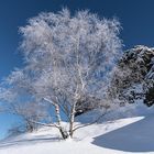 Nordhessen - Winter Wonderland