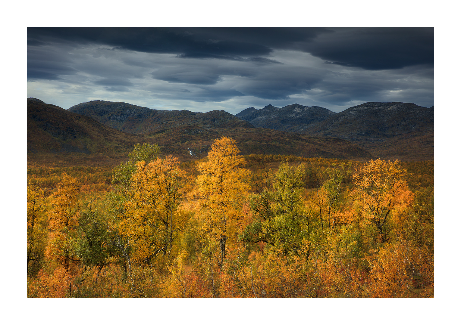 [ ... nordic fall colors ]