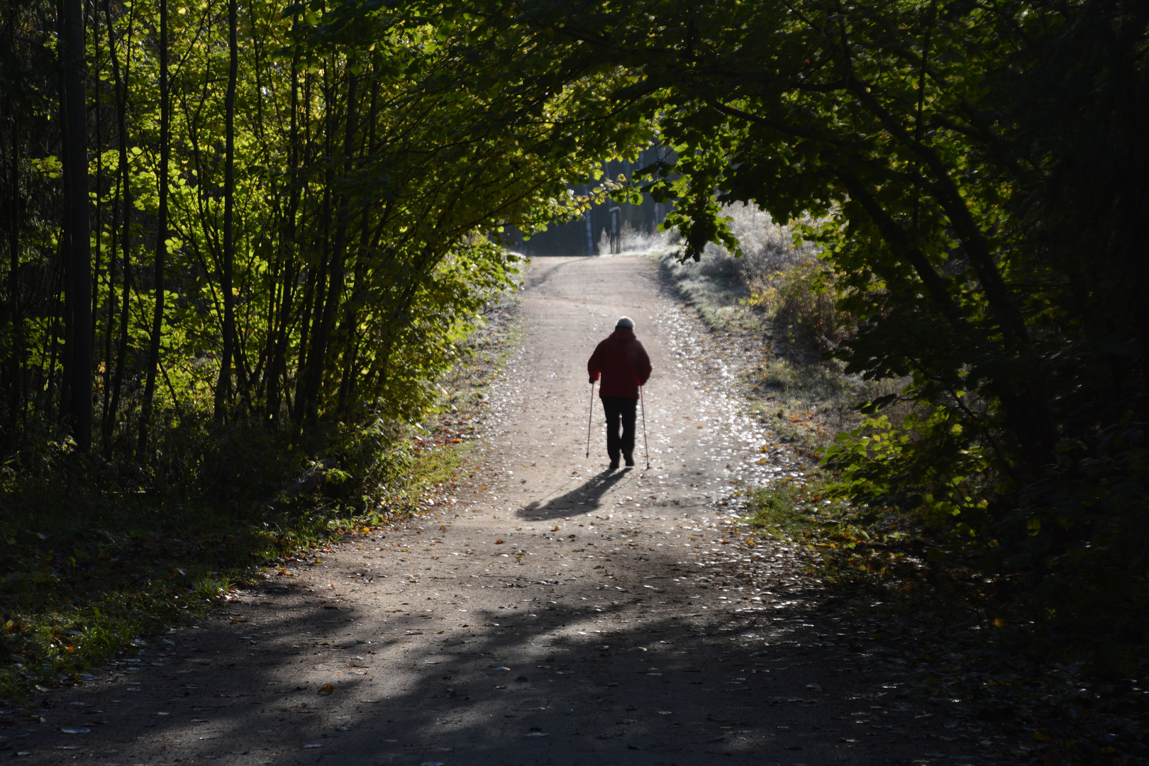 Nordic walker