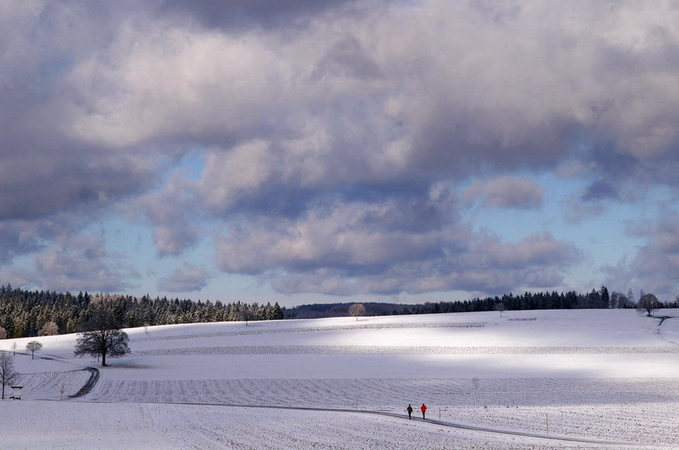 Nordic-Walker II