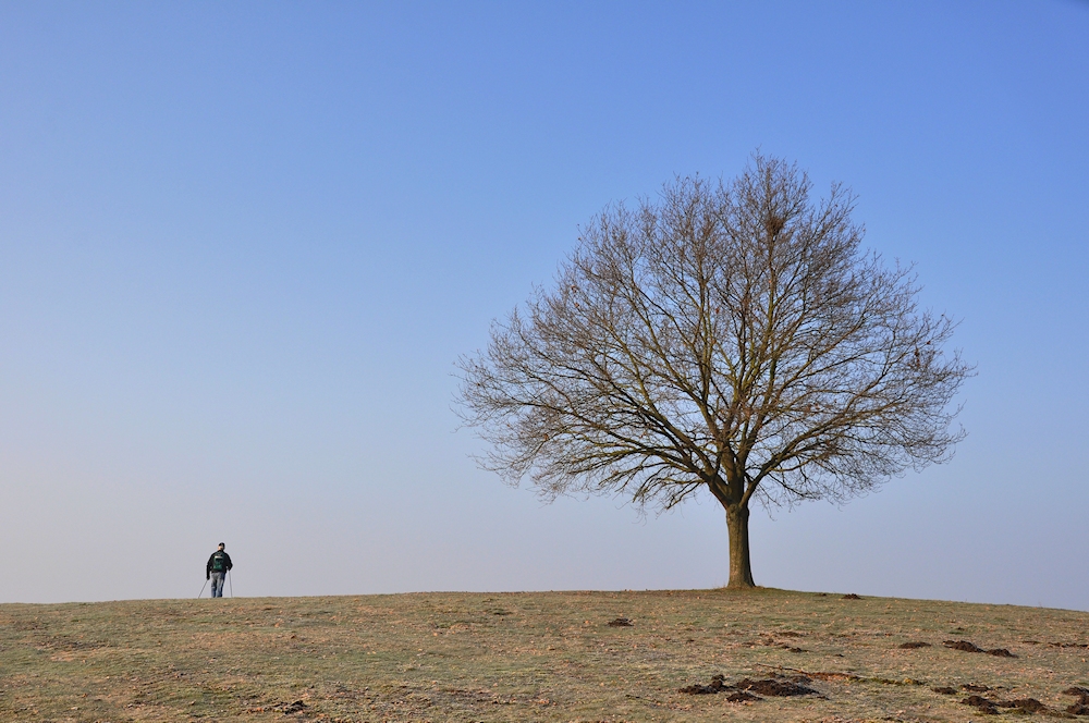 nordic walking