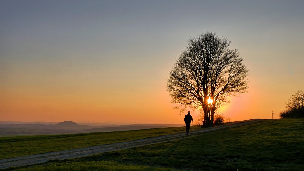 Nordic Walking