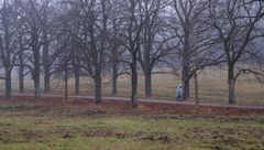 Nordic Walking
