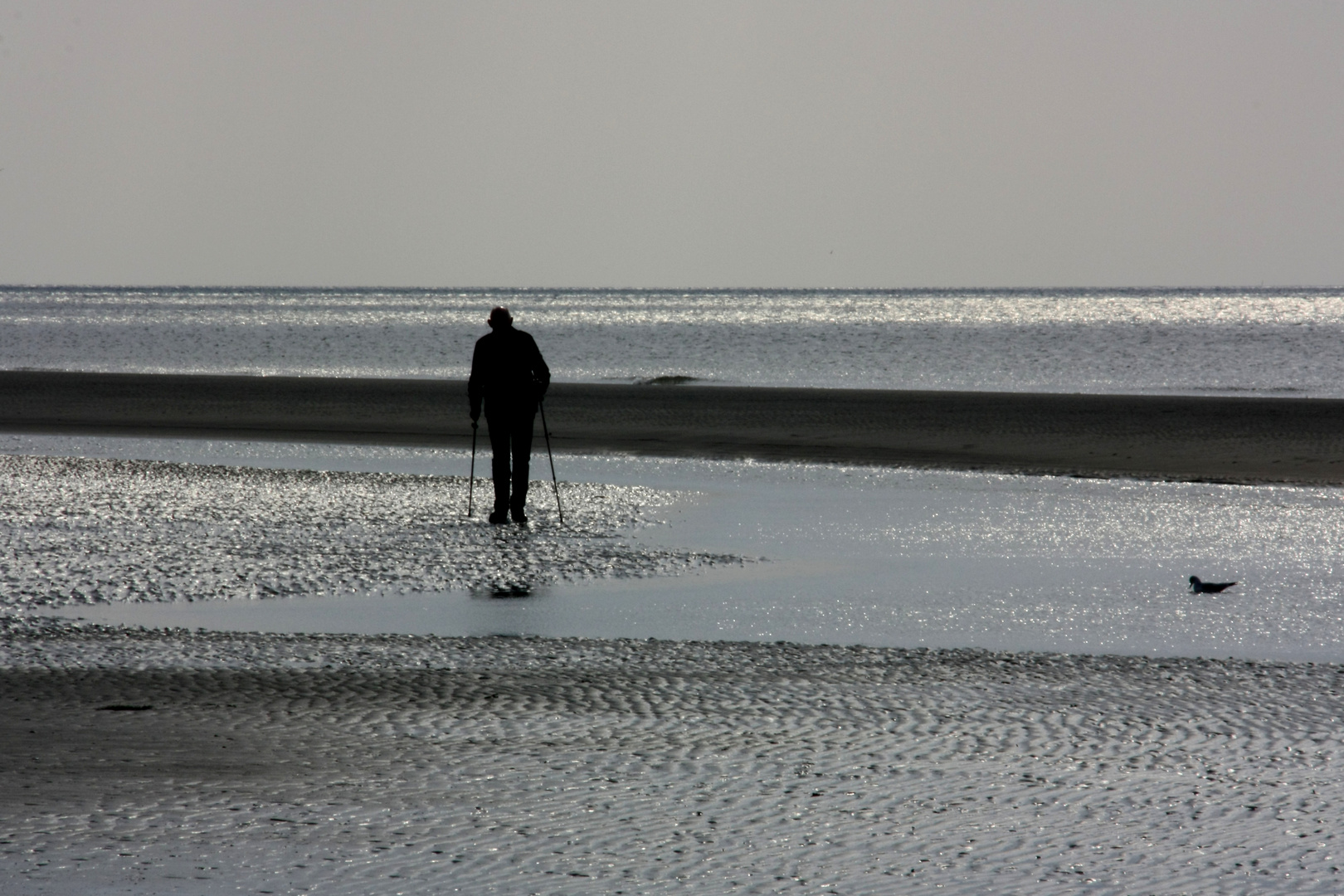 Nordic Walking am Strand