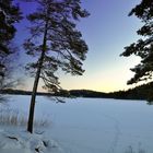 Nordic Winterday