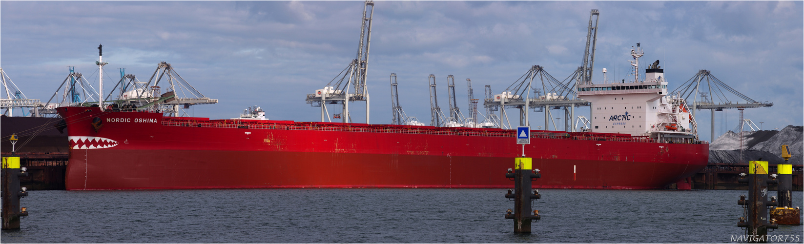 NORDIG OSHIMA / Bulk Carrier / Mississippihafen / Rotterdam