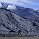 NORDINDIEN - LADAKH - ZWISCHEN HIMMEL UND ERDE (55N)