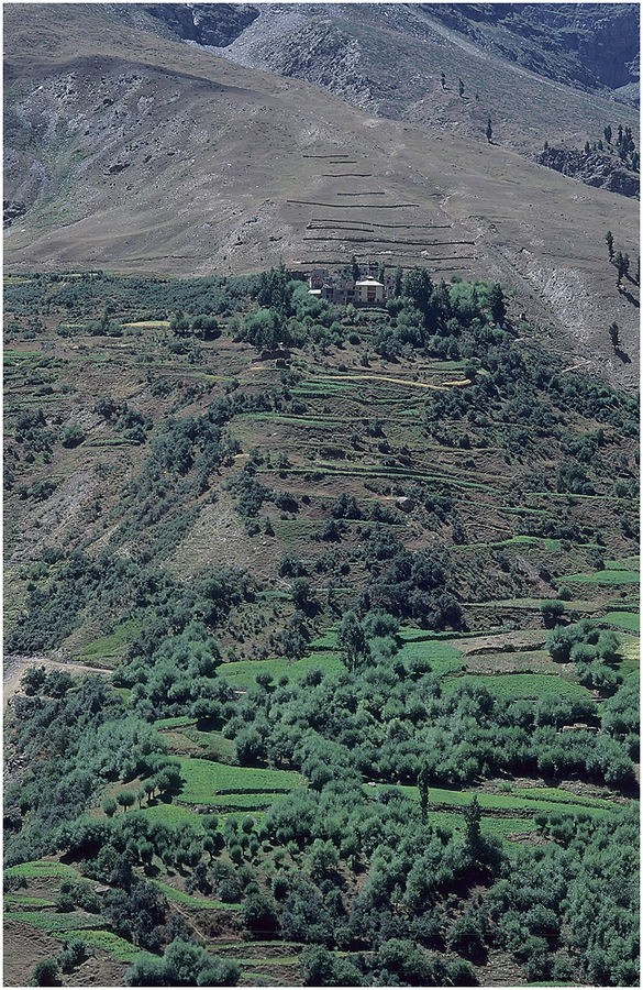 NORDINDIEN - LADAKH - ZWISCHEN HIMMEL UND ERDE - KEYLONG (08 6)