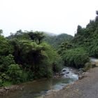 NORDINSEL AUF DEM WEG NACH COROMANDEL