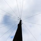 Nordirland, Derry: Power Pole