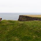 NordIrland,Causeway Coastal Route: Verlorene Schafe